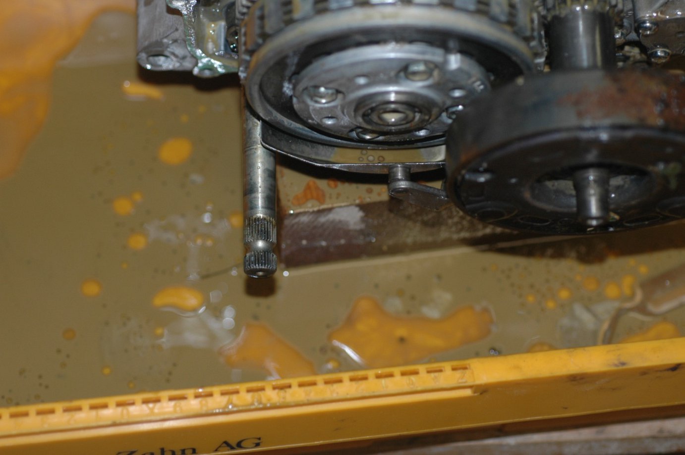 DSC_7996.JPG