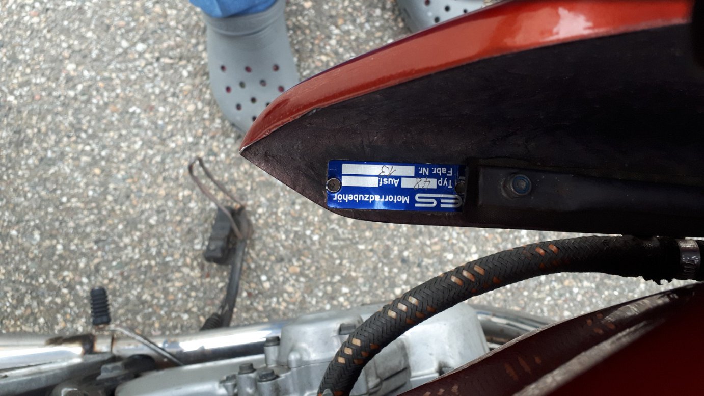 HarryVerkleidung1.jpg