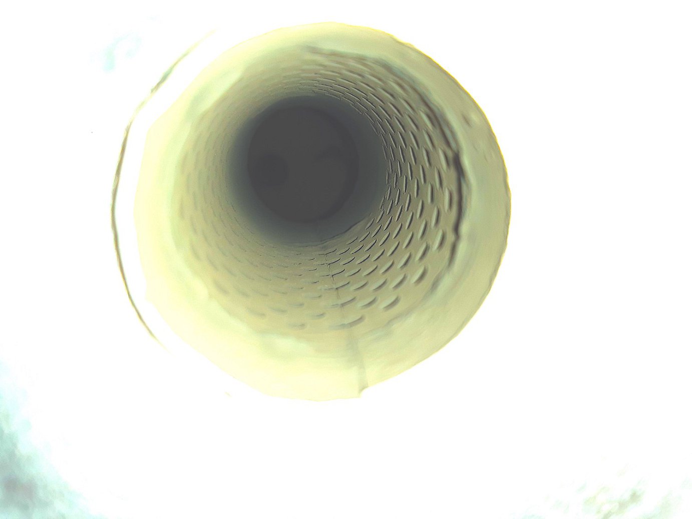 20201130_145528_2020-12-01.jpg